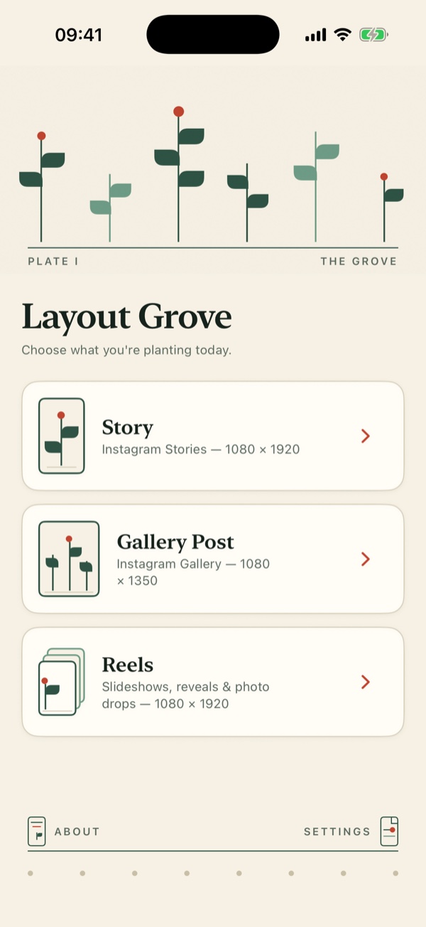 Layout Grove's home screen on iPhone, showing the Story, Gallery Post and Reels cards beneath an illustrated canopy header.